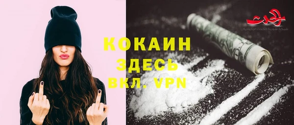 гидра Белоозёрский