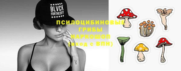 гидра Белоозёрский